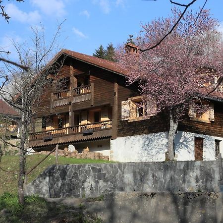 Les Villards-sur-Thônes Sous Les Ecotagnes 빌라 외부 사진